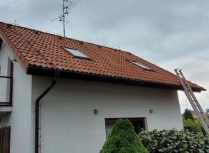 Čištění střechy a hydrofobní ochrana Němčice