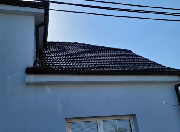 Čištění a nátěr střechy, fasády