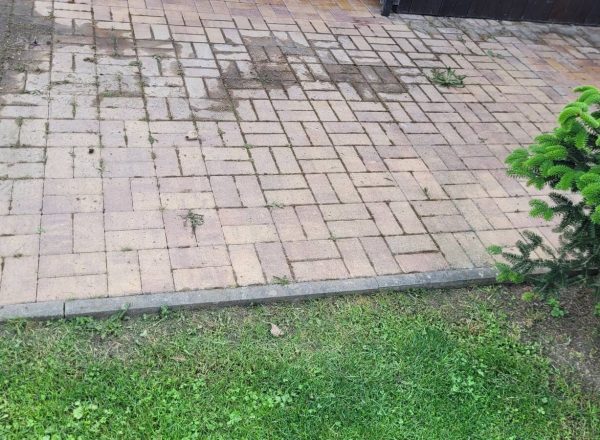 Čištění střechy a dlažby Heřmanův Městec