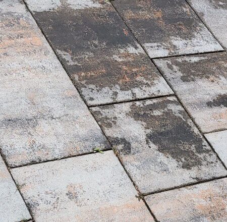 Čištění střechy, fasády a dlažby + biocidní ochrana Chrudim